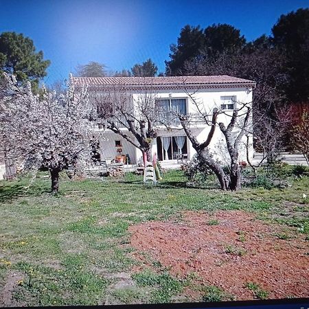 La Maison De Papou La Vigne A Nans Les Pins 83860 Exterior foto